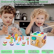 8 in 1 Wooden Box