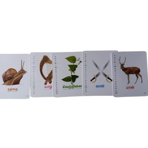 Tamil Flash Cards