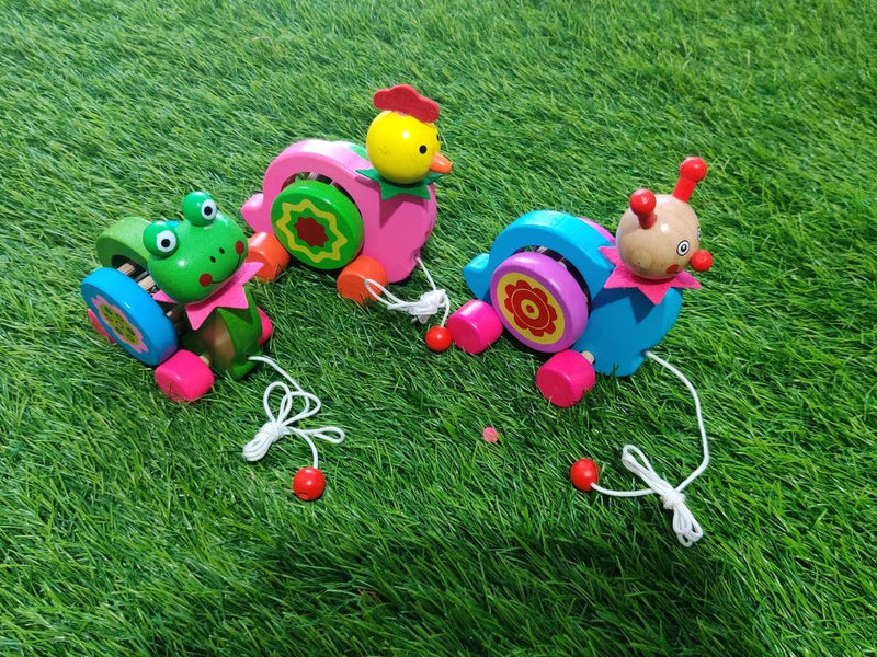 Multi Animal Pull Along (1 pc)