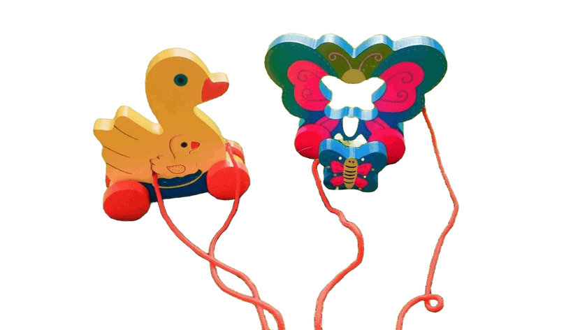 2 in 1 Animal Pull Along (1 pc)