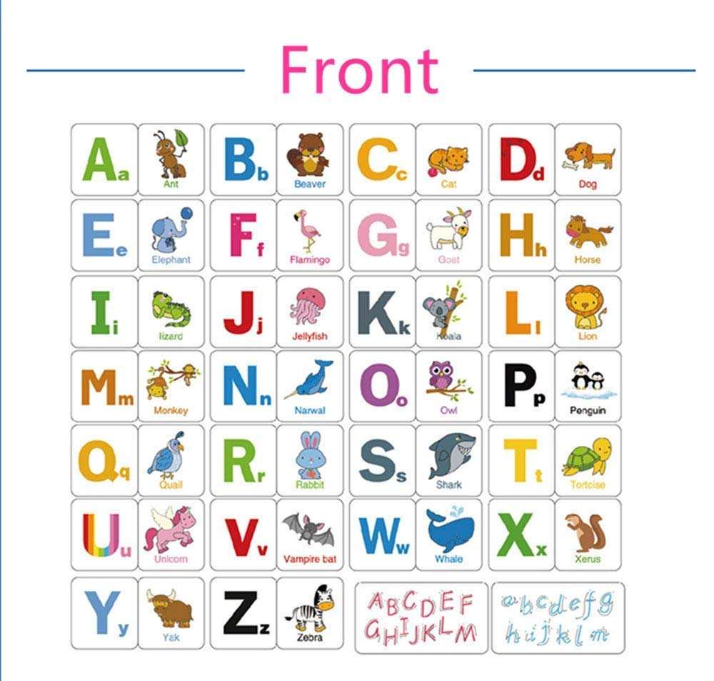 Cognition Puzzle