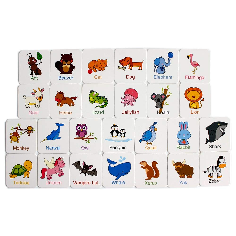 Cognition Puzzle