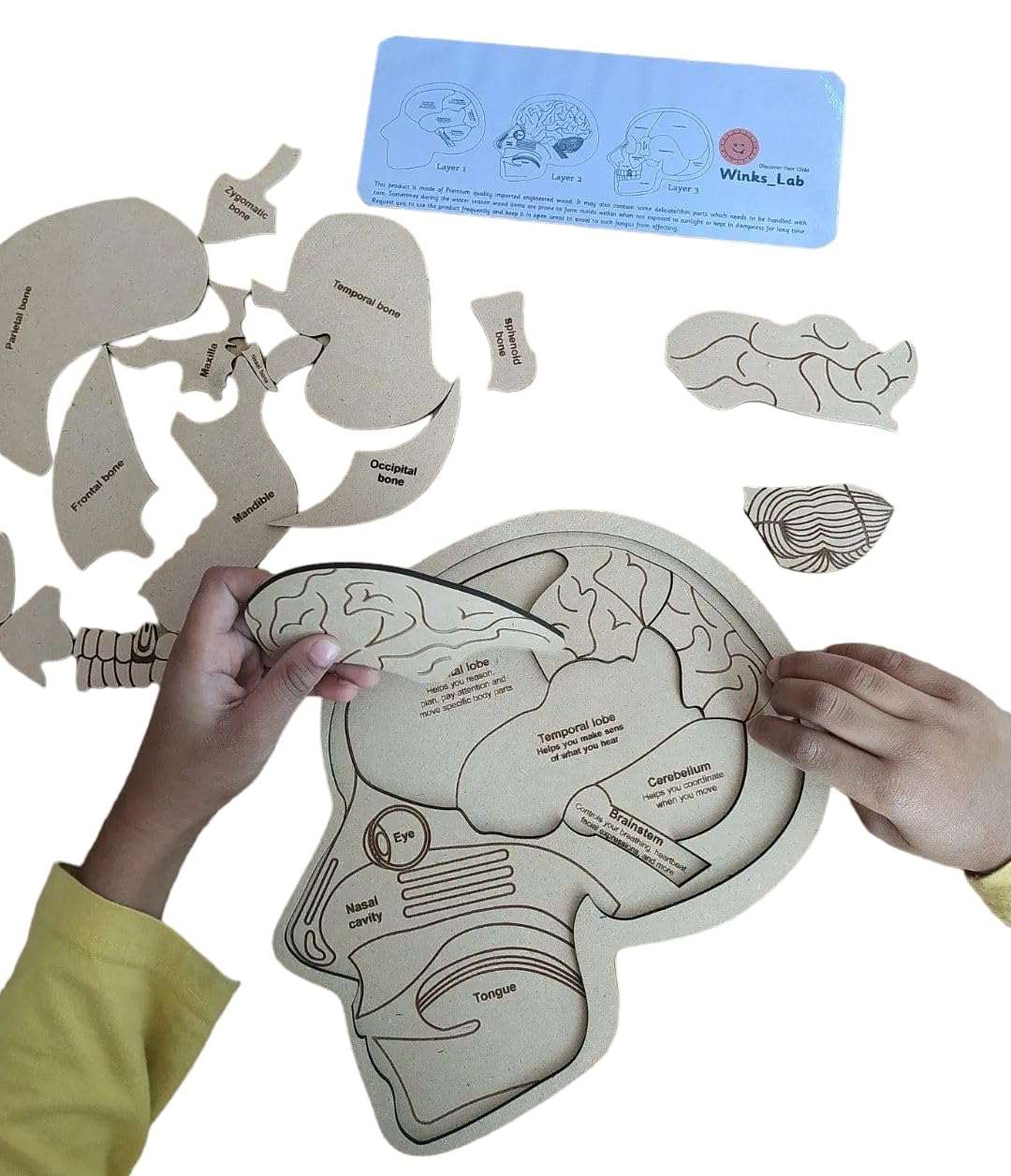 Brain Puzzle