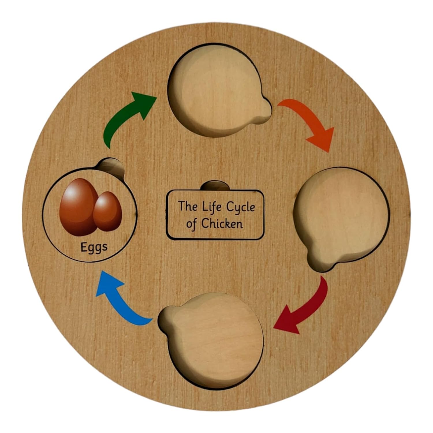 Lifecycle Puzzle