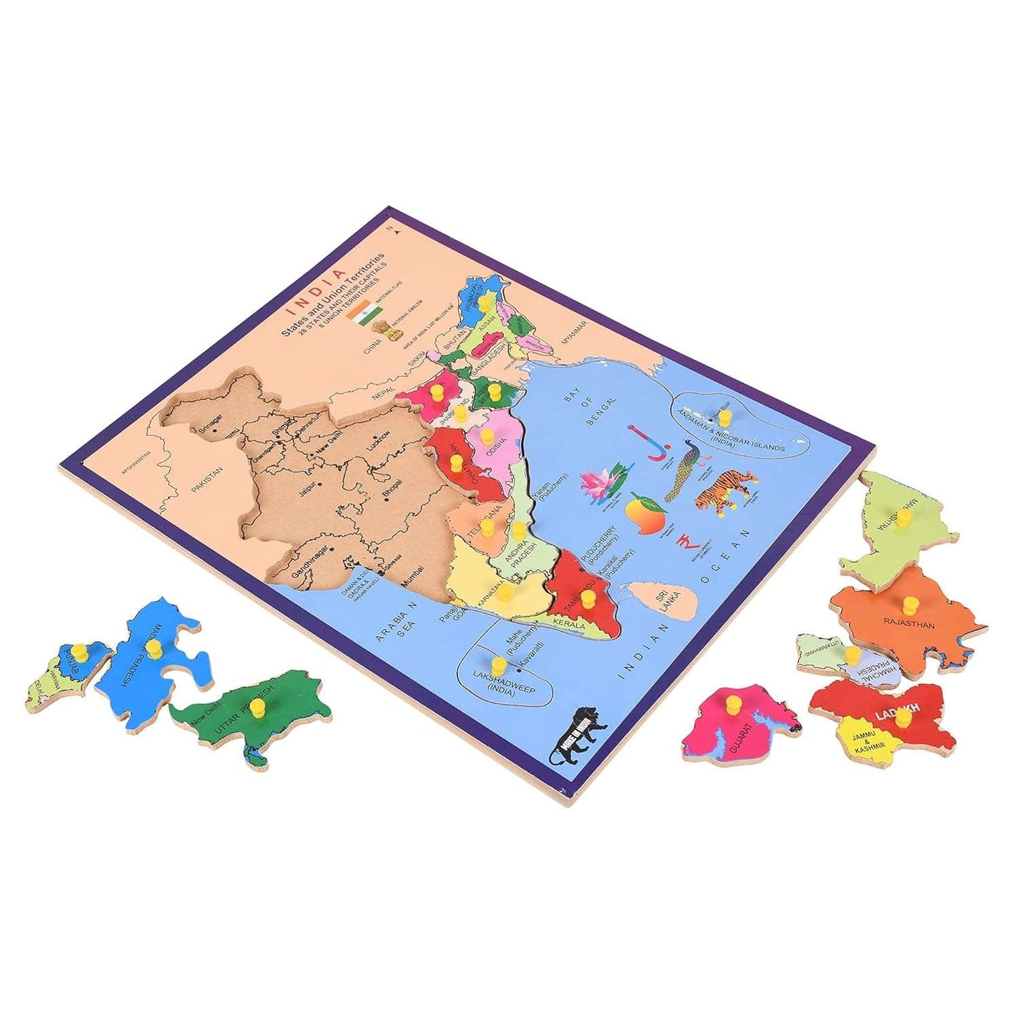 India Map Pin Board