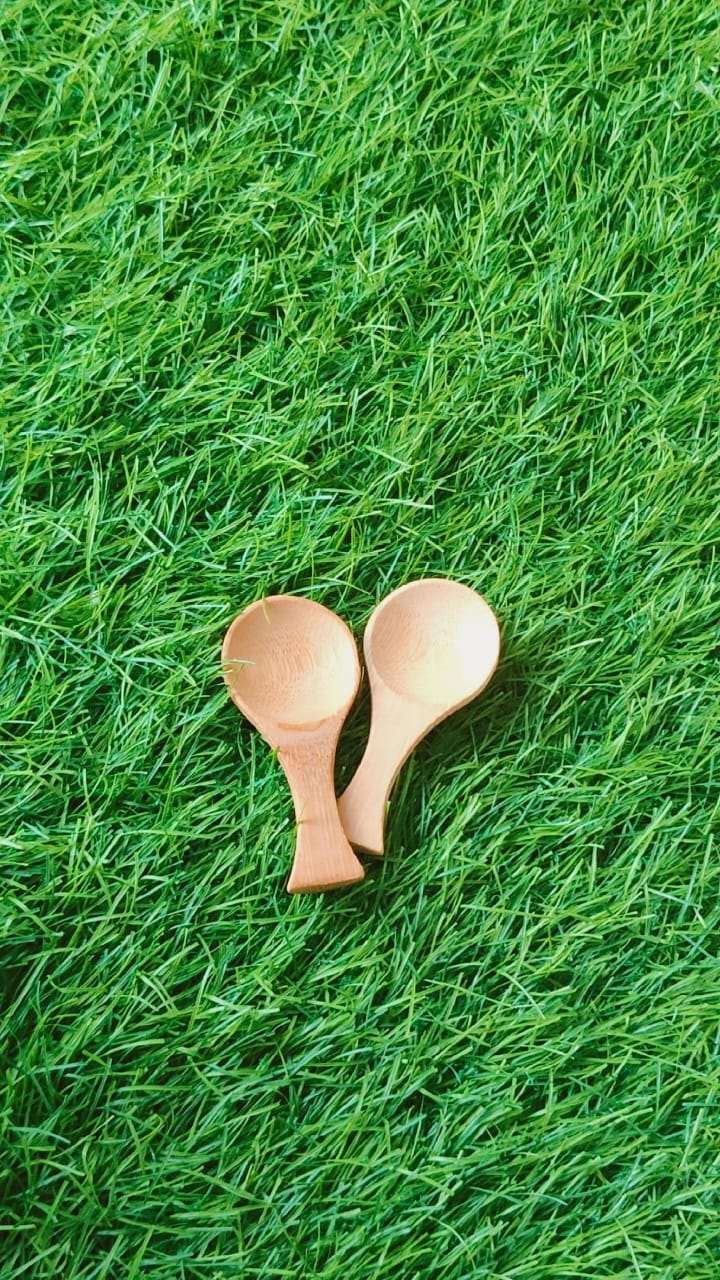 Round Shape Small Spoon (1 pc)