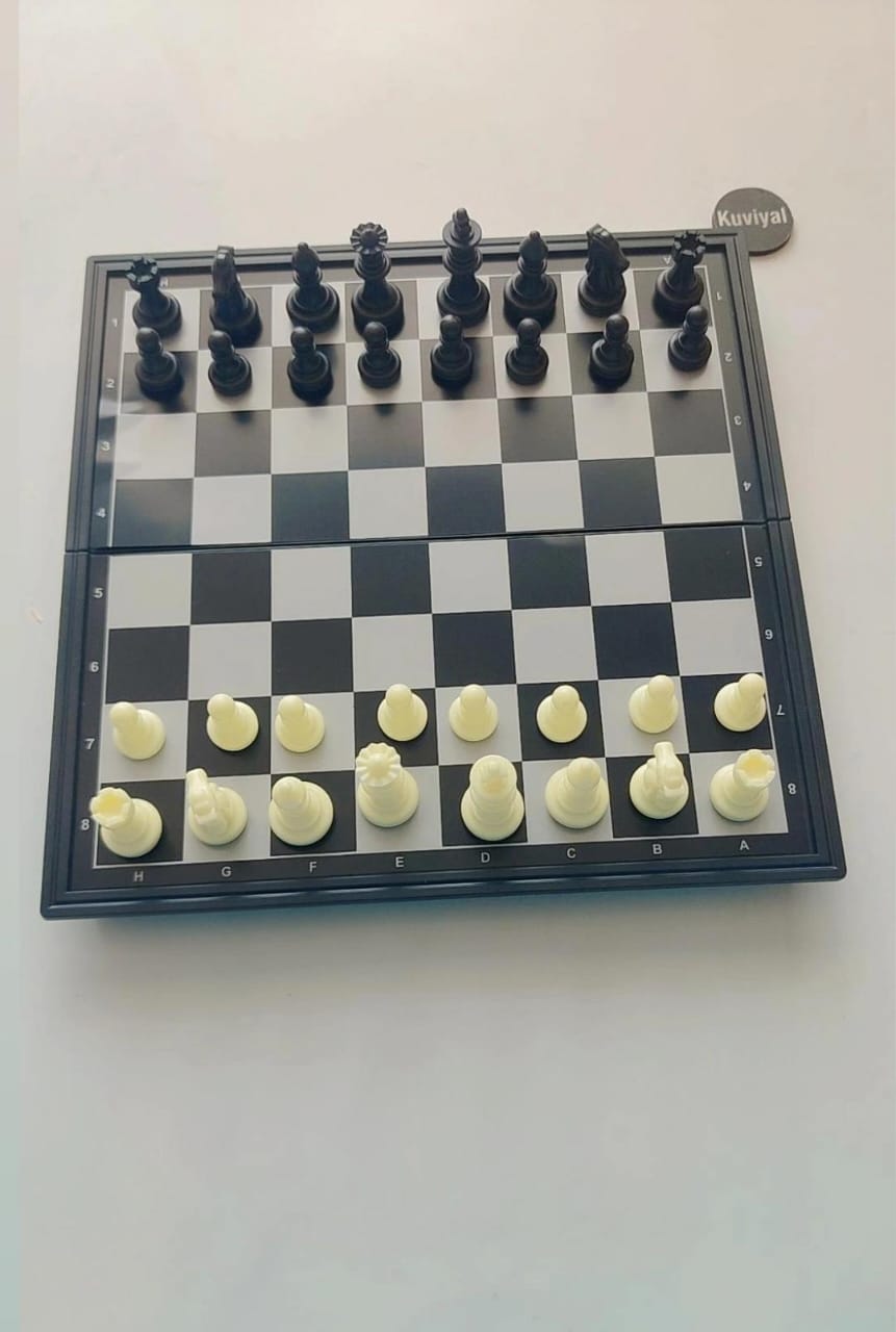 Magnetic Chess Game