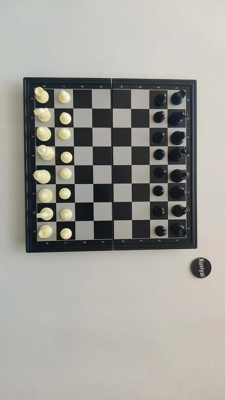 Magnetic Chess Game