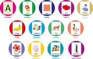 All in One Flash Cards