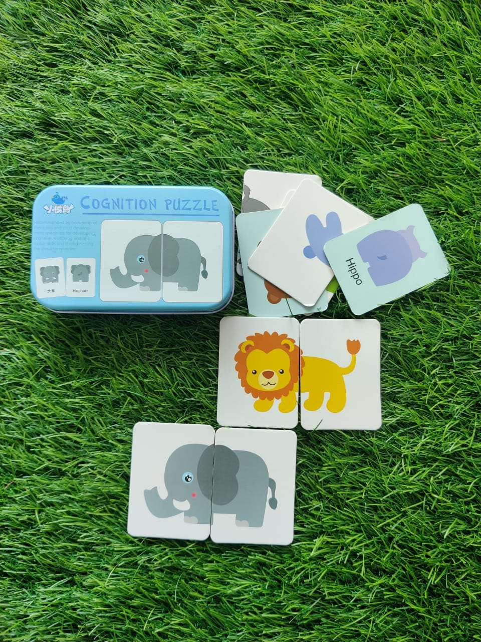 Cognition Puzzle