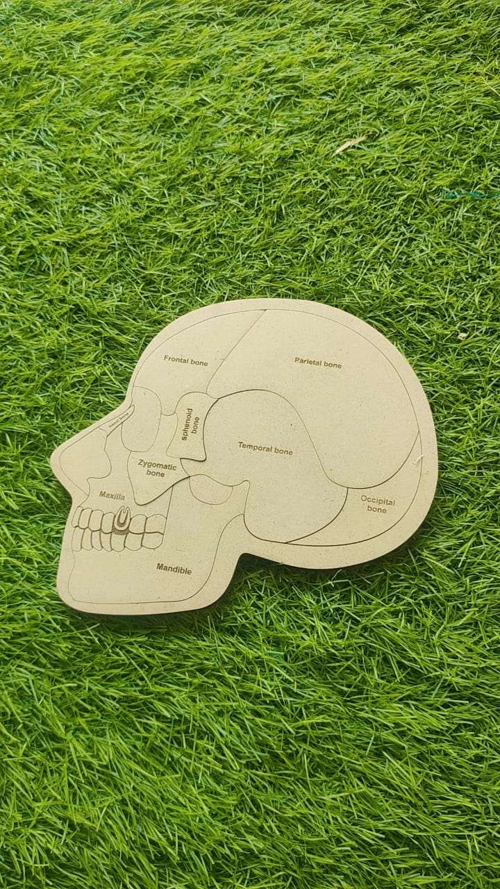 Brain Puzzle
