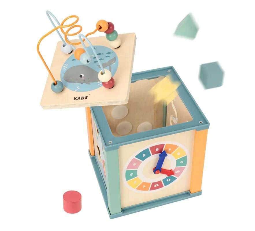 5 in 1 Activity Cube