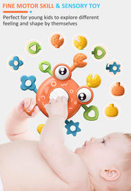 Crab Sensory Toy