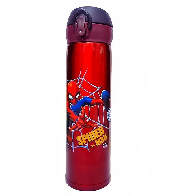 Insulated Water Bottle(Random Design)