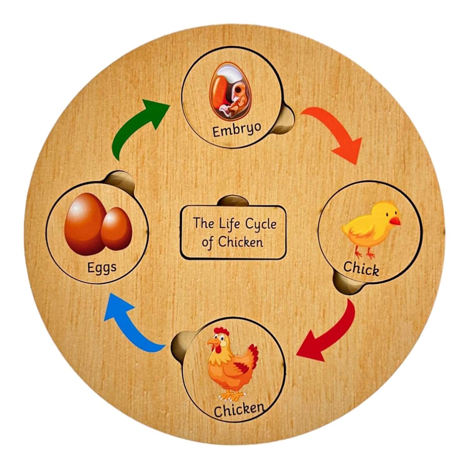 Lifecycle Puzzle