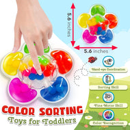Color Sorting Sensory Toy