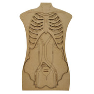 Human Anatomy Puzzle