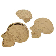 Brain Puzzle