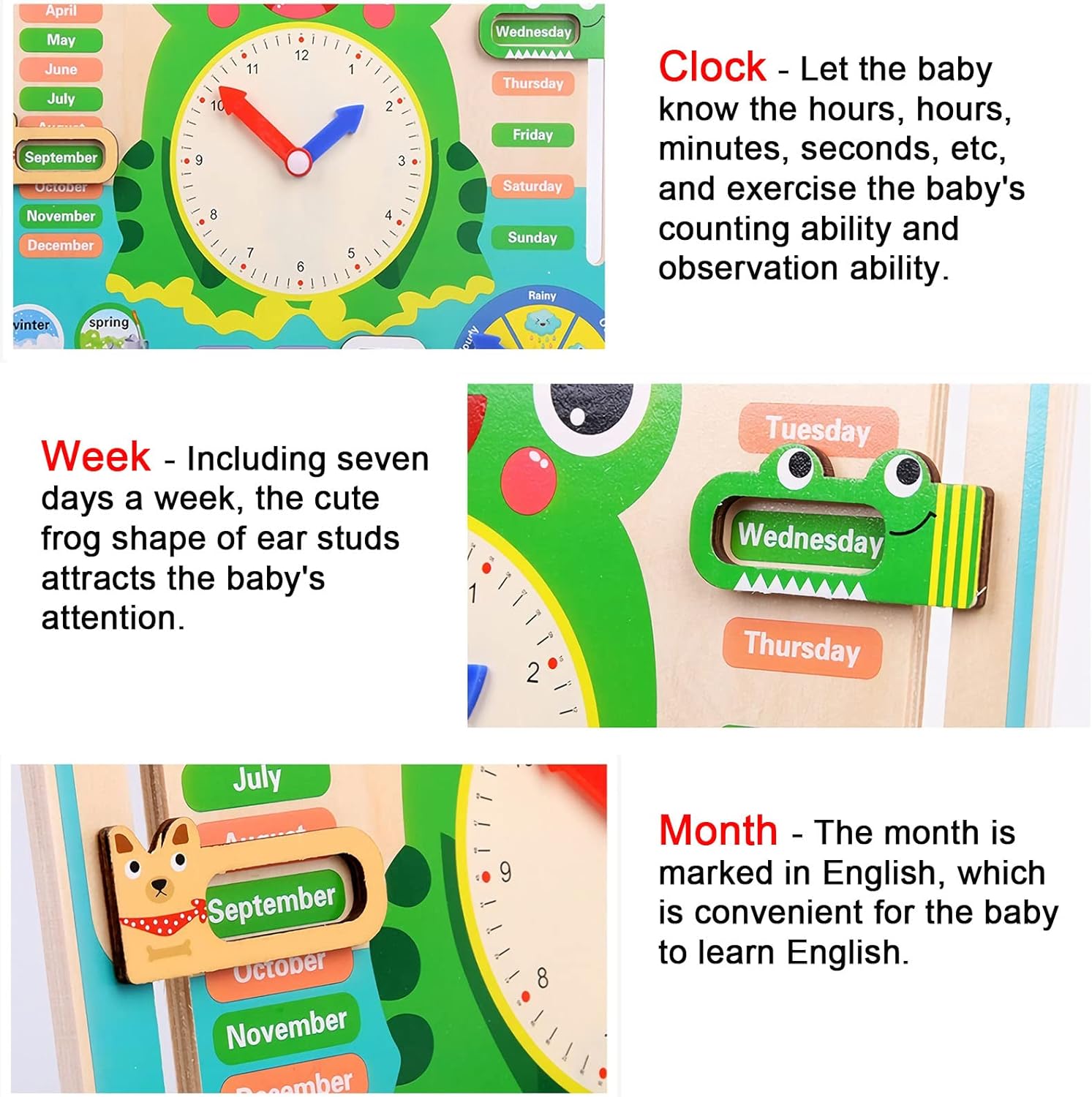 Calendar Math Chart Frog Wooden Calendar Frog – Kuviyal