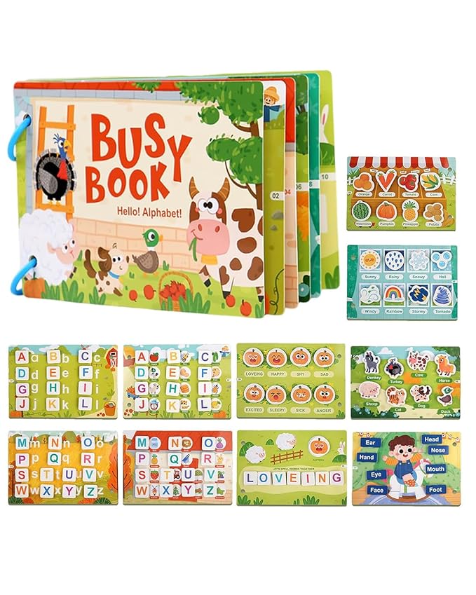 Busy Book (Different Theme)