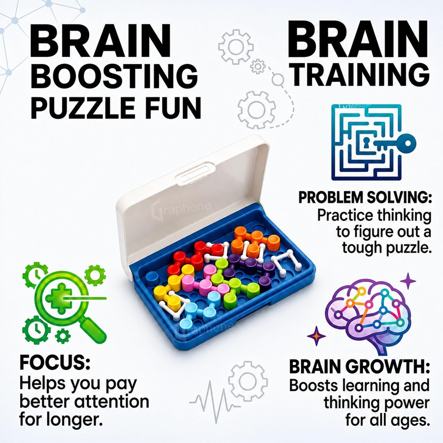 IQ Puzzle Game