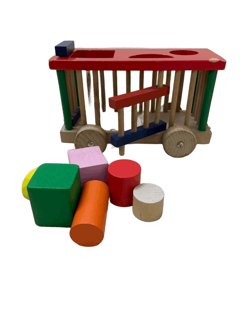 Cage Shape Sorter