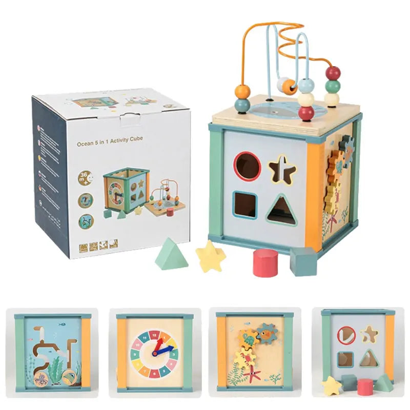 5 in 1 Activity Cube