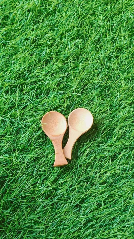 Round Shape Small Spoon (1 pc)