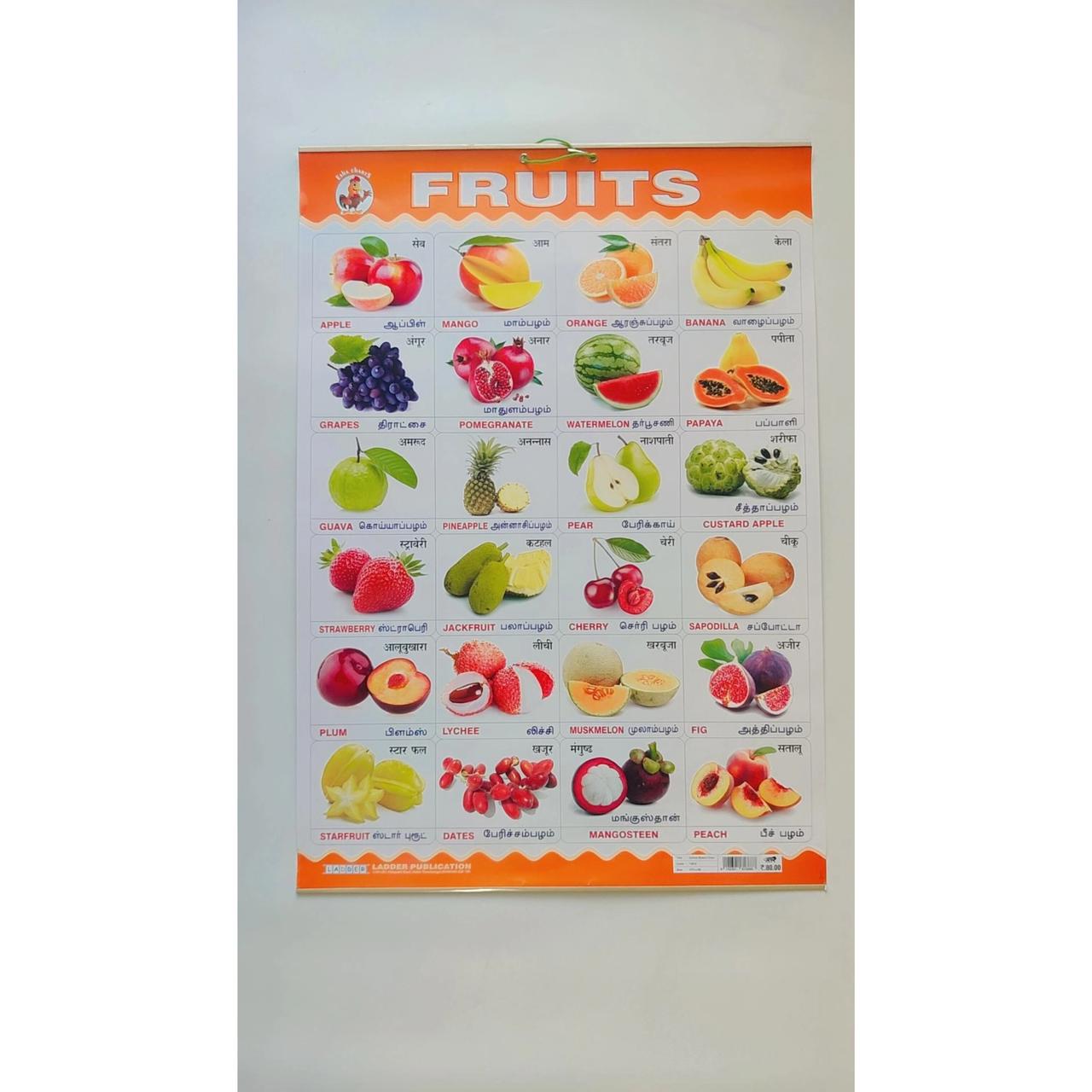 Picture Charts - Set of 10 charts