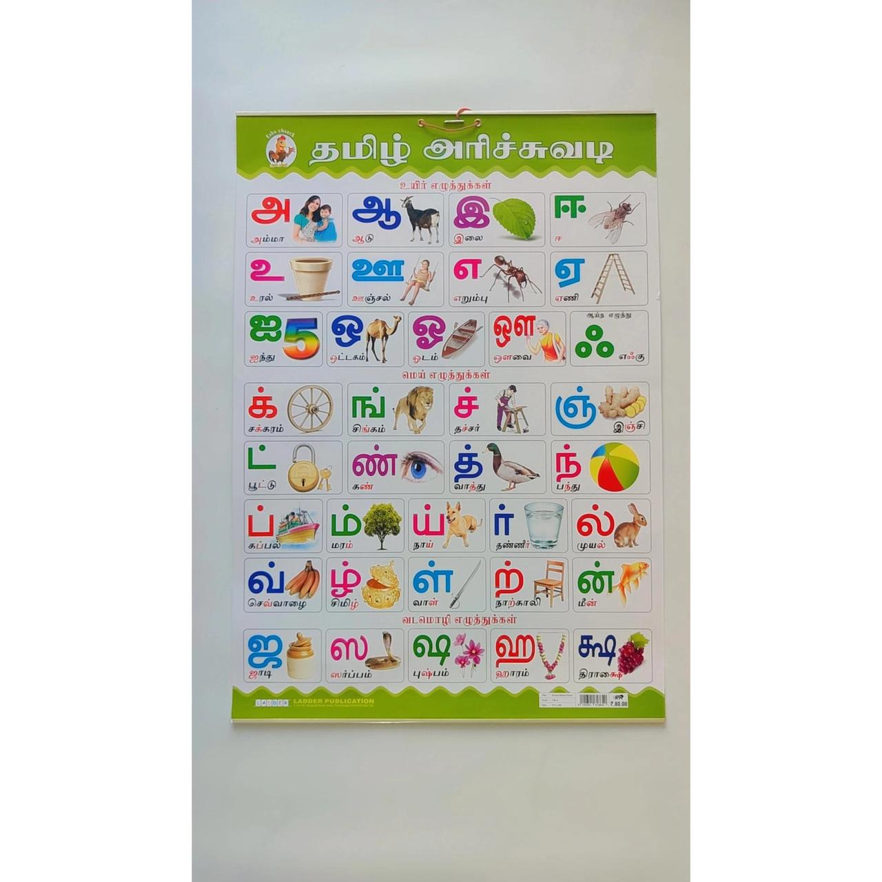 Picture Charts - Set of 10 charts – Kuviyal