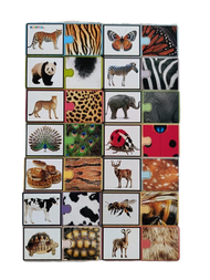 Animal Skin Matching Puzzle