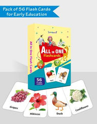 All in One Flash Cards