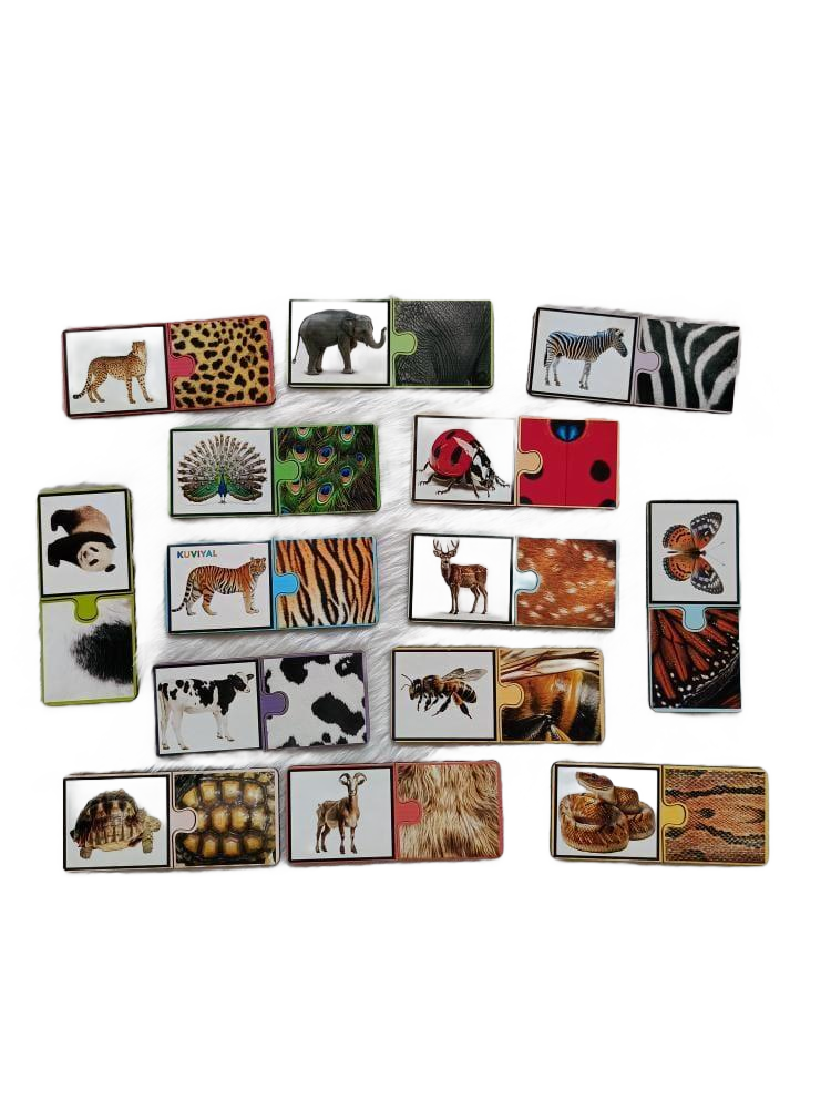 Animal Skin Matching Puzzle