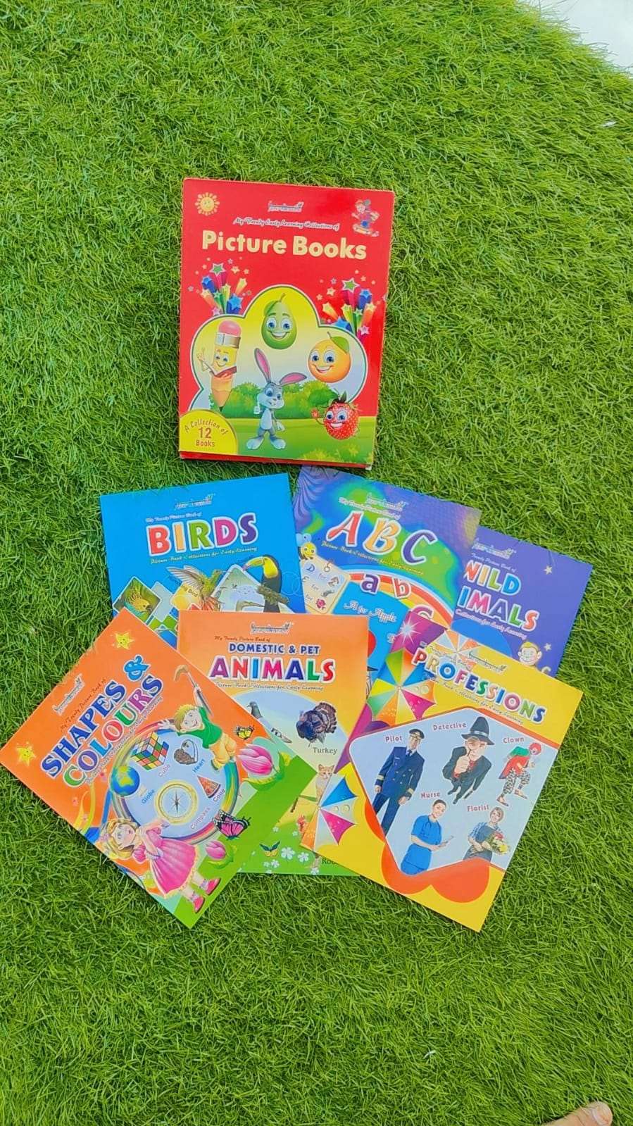 Picture Books Set of 12