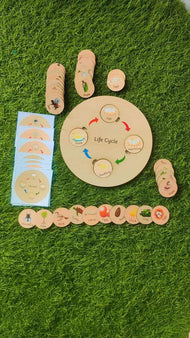 Lifecycle Puzzle