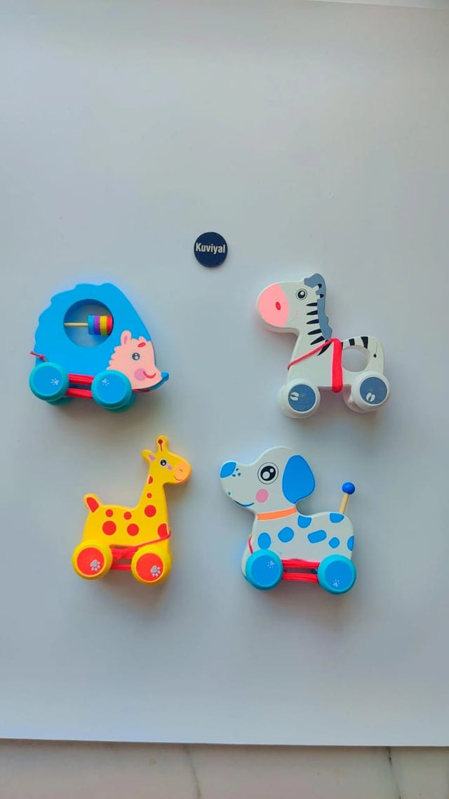 Cartoon Animal Pull Along Toy (1 pc)