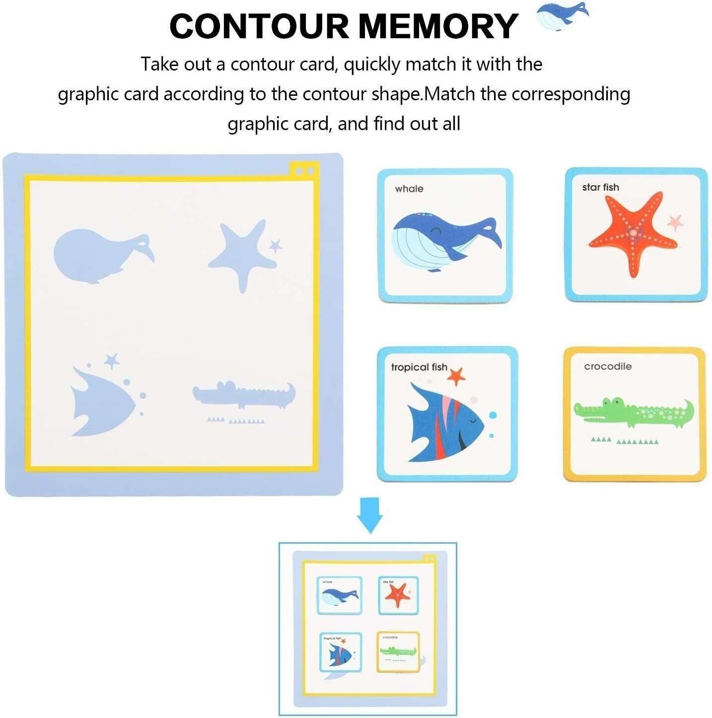 Memory Matching Cards