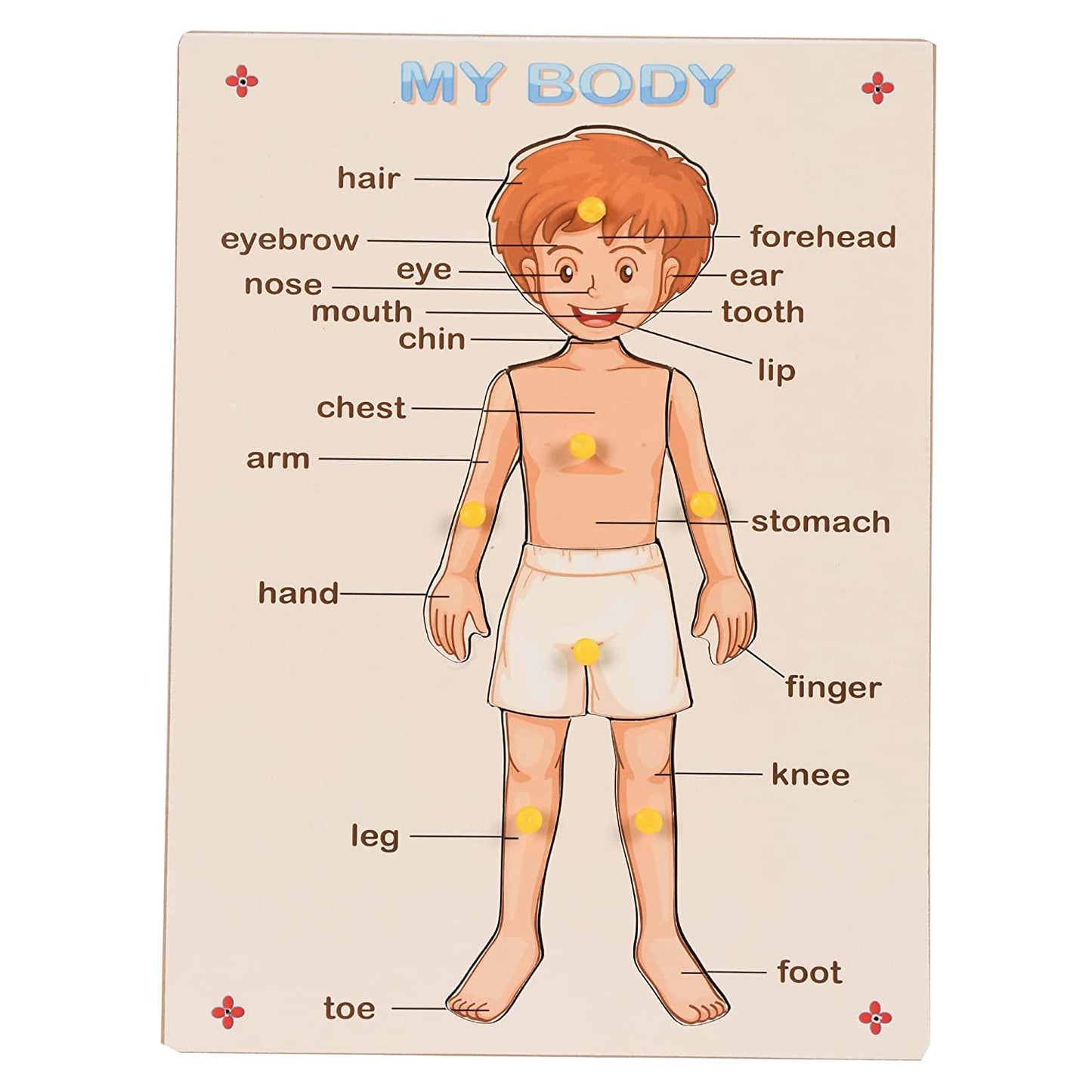 Body Parts Pin Board