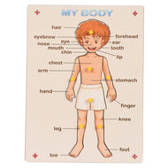 Body Parts Pin Board